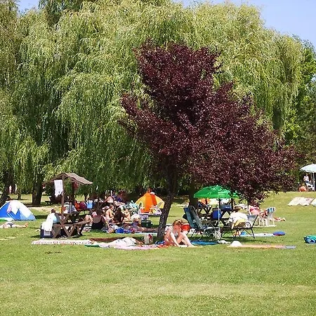 Csokonyavisontai Napsugár