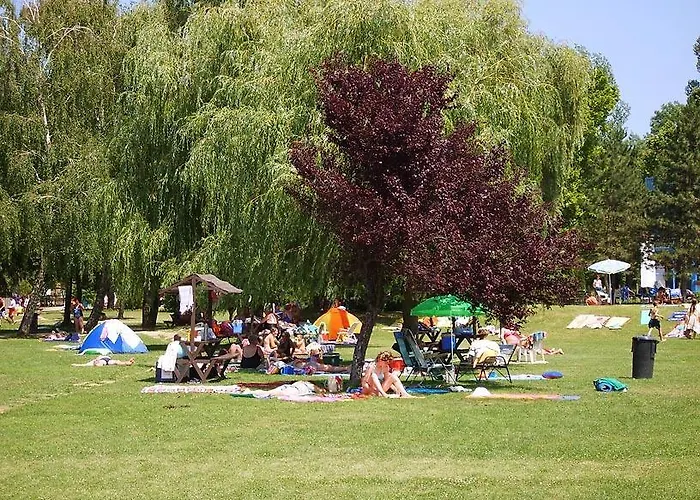 Csokonyavisontai Napsugár